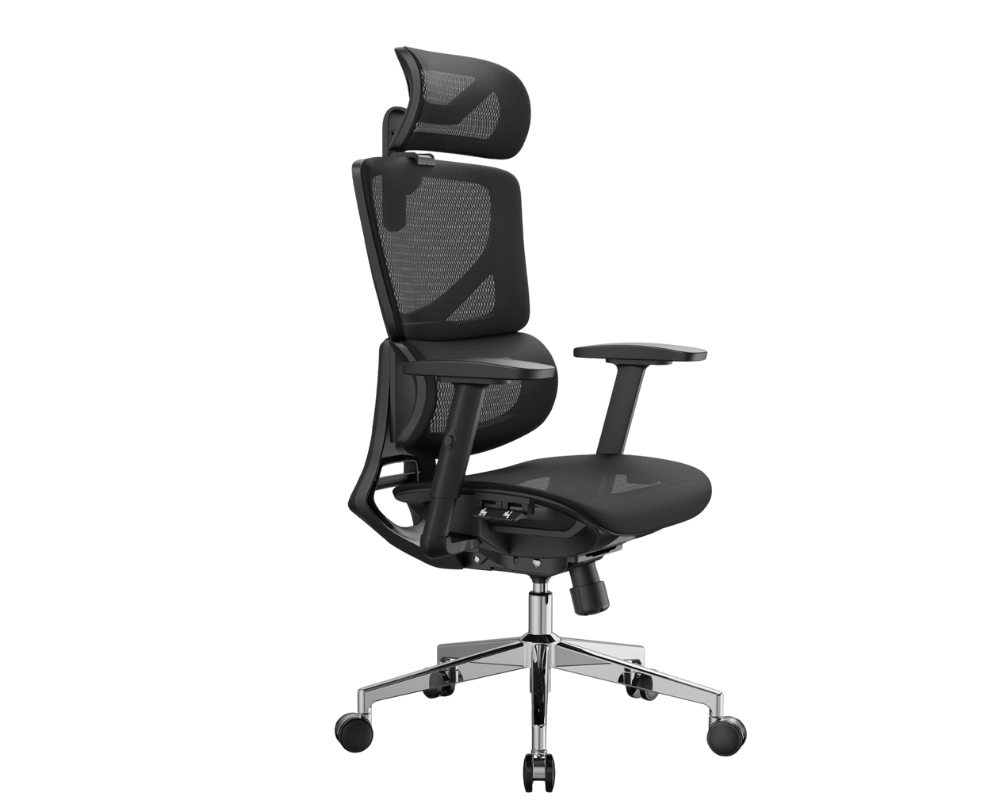 Office Chairs: Evolution of Types, Benefits, and Future Trends in 2026