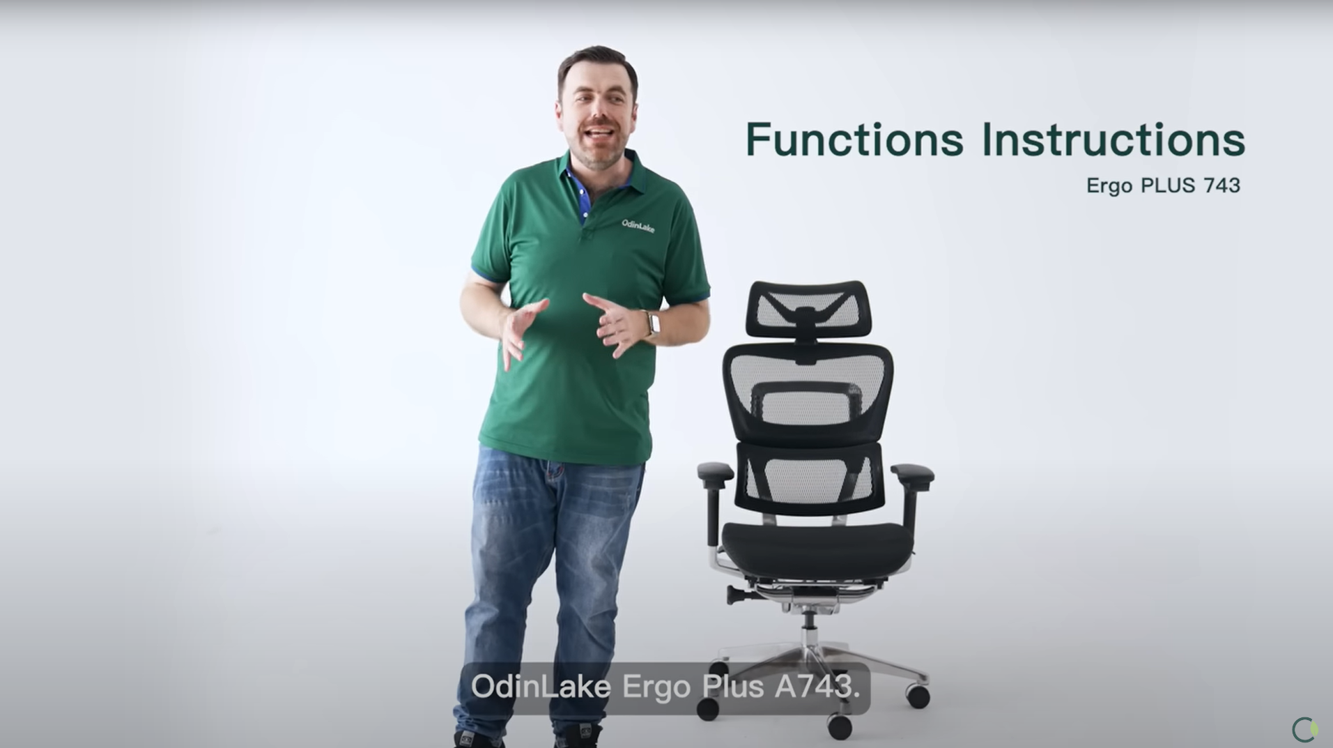 Mesh Office Chair with Footrest | OdinLake Ergo Pro 633