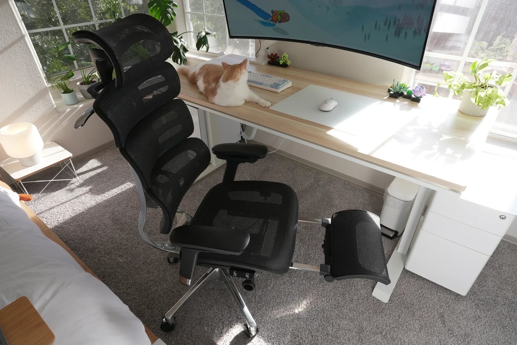 OdinLake ergonomic office chair at a bright desk on carpet