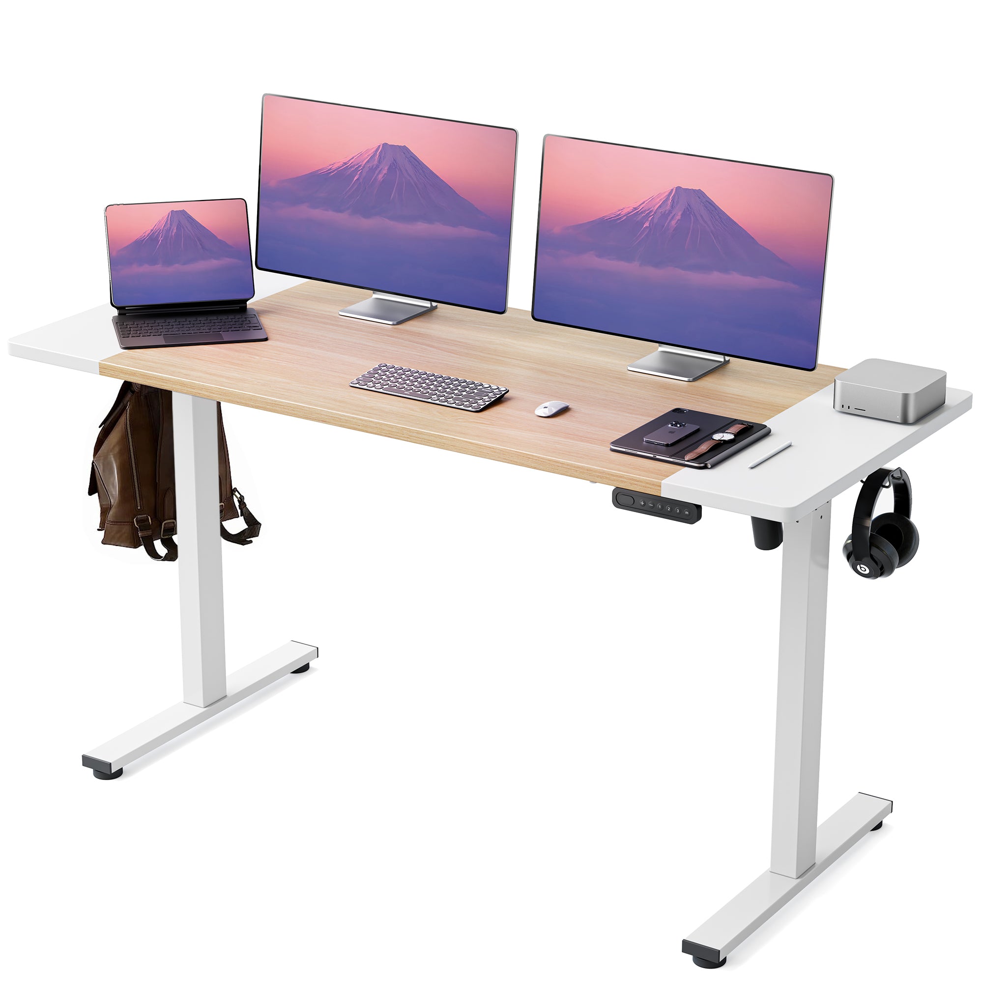 OdinLake S1 Home Office Standing Desk(24