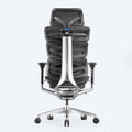 OdinLake Ergo MAX 747 OdinLake ergonomic desk chair