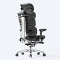 OdinLake O2 Ergo MAX 747 chair ergonomic office chairs