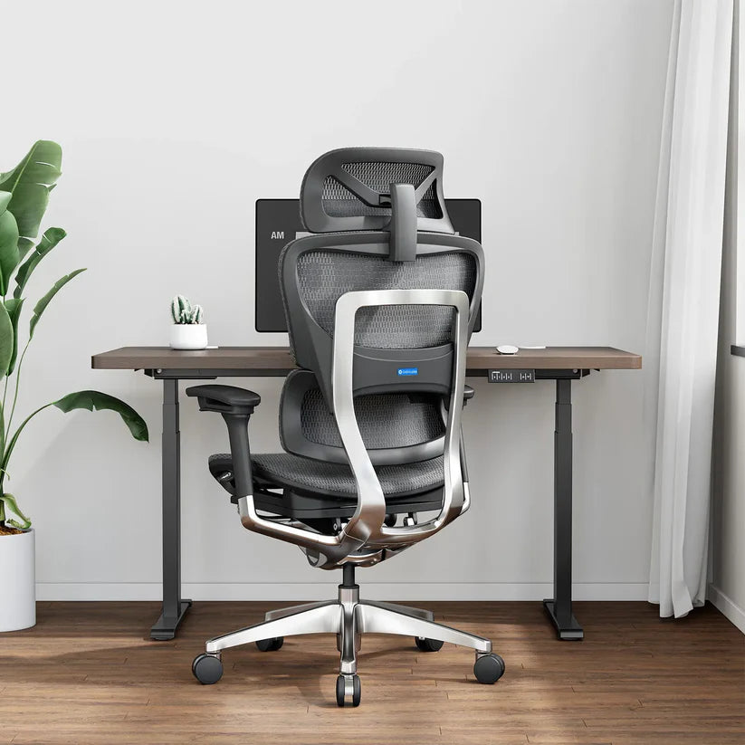 OdinLake O1 (Ergo PLUS 743) | Flex Mesh Ergonomic Chair OdinLake O1 (Ergo PLUS 743) | Flex Mesh Ergonomic Chair