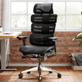 OdinLake O2 ergonomic desk chair