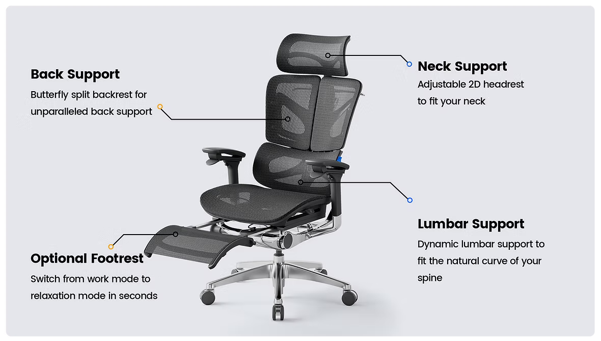 OdinLake Ergo BUTTERFLY 753 ergonomic chair