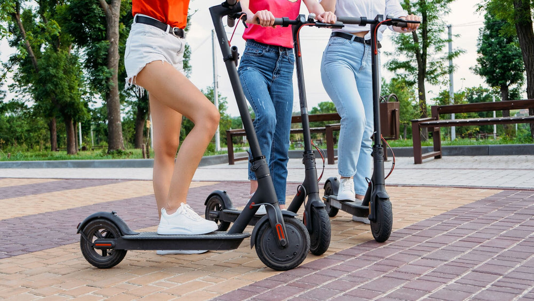 Can We Reduce Carbon Footprint? What You Can Do About And How