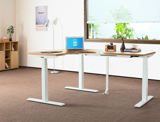 Why are Standing Desks Expensive?