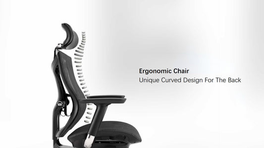 Why is an ergonomic chair good for back support?