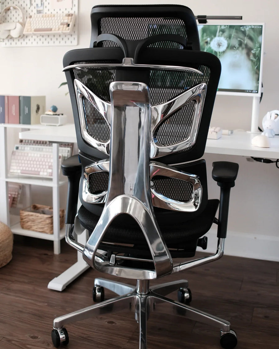 Rear view of an OdinLake office chair showing the backrest, center column, base, and casters