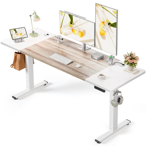OdinLake S2 Home Office Standing Desk(24"D x 63"W x 46"H)