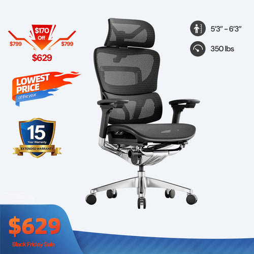 OdinLake O1 (Ergo PLUS 743) | Flex Mesh Ergonomic Chair