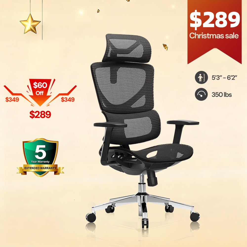 OdinLake L1 (Ergo UPGRADE 518) | Ergonomic Office Chair