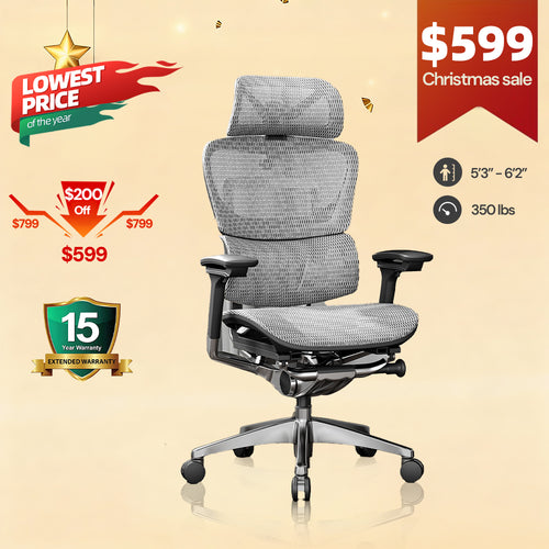 OdinLake O1 (Ergo PLUS 743) | Flex Mesh Ergonomic Chair
