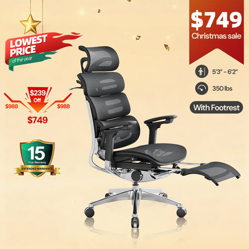 OdinLake O2 (Ergo MAX 747) | Three-Section Backrest Ergonomic Chair
