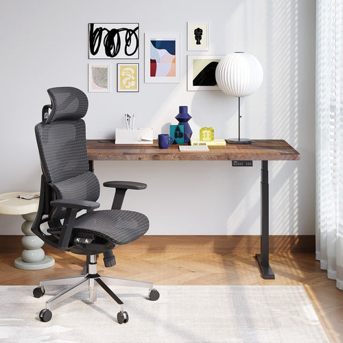 ergonomic desk chair