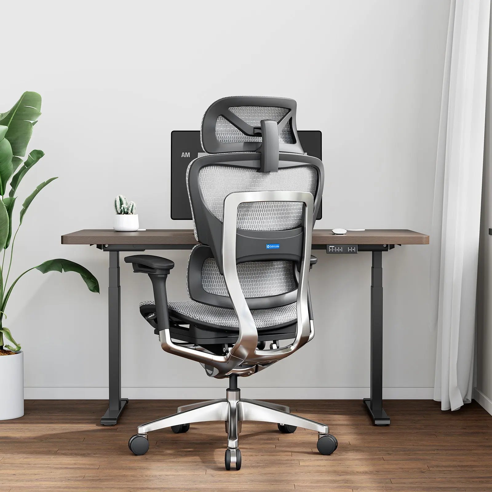 OdinLake O1 (Ergo PLUS 743) | Flex Mesh Chair
