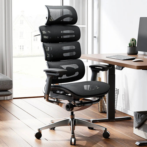 OdinLake O2 (Ergo MAX 747) | Three-Section Backrest Ergonomic Chair