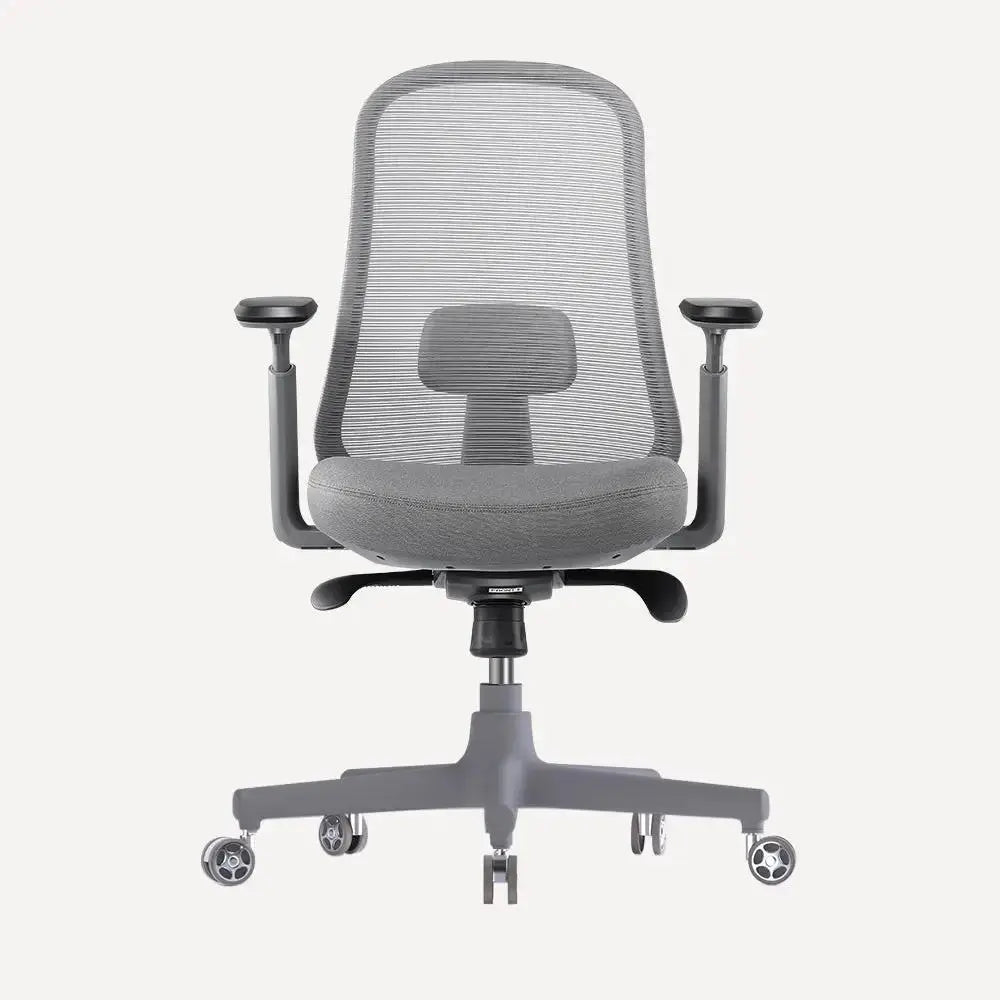 OdinLake Ergo CORE 625